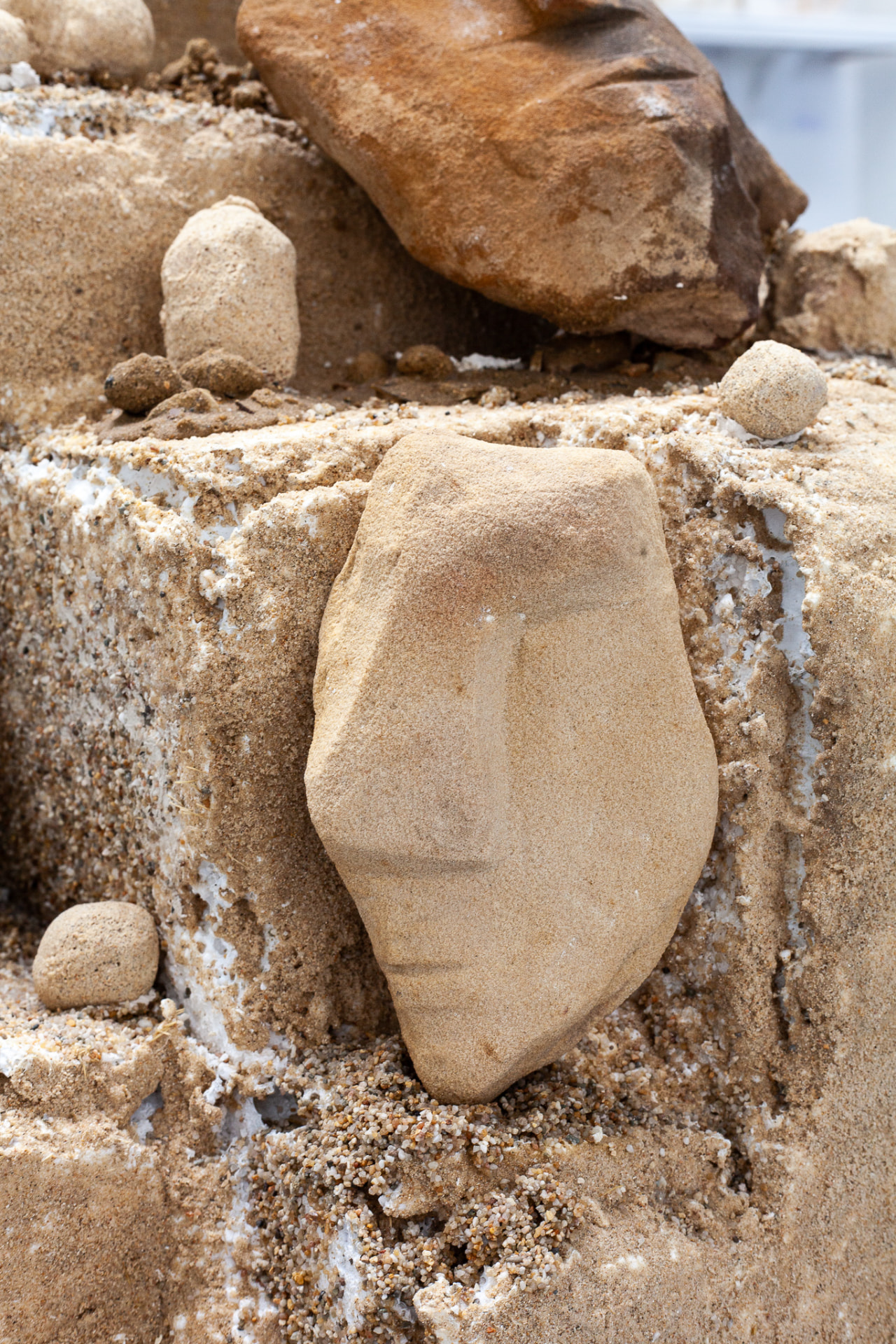 Close-up of a smooth pale stone-like form set in granular earth